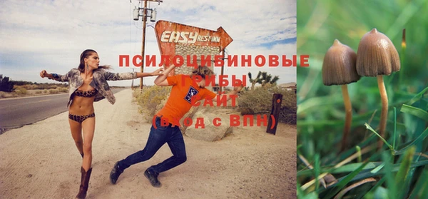 ALPHA PVP Михайлов