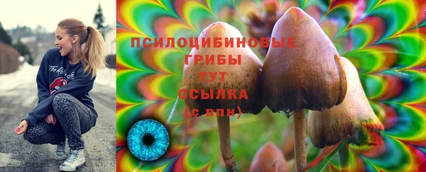 шишки Волгодонск
