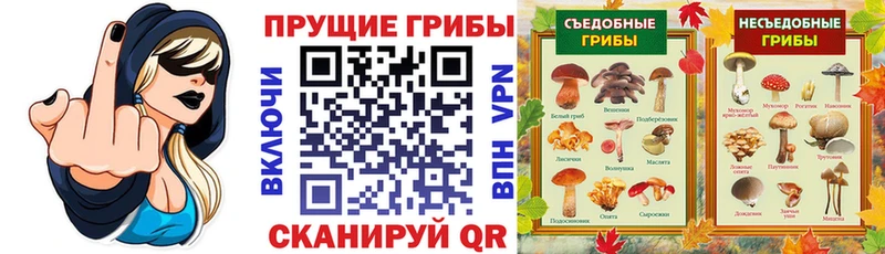 даркнет сайт  Струнино  Псилоцибиновые грибы ЛСД 